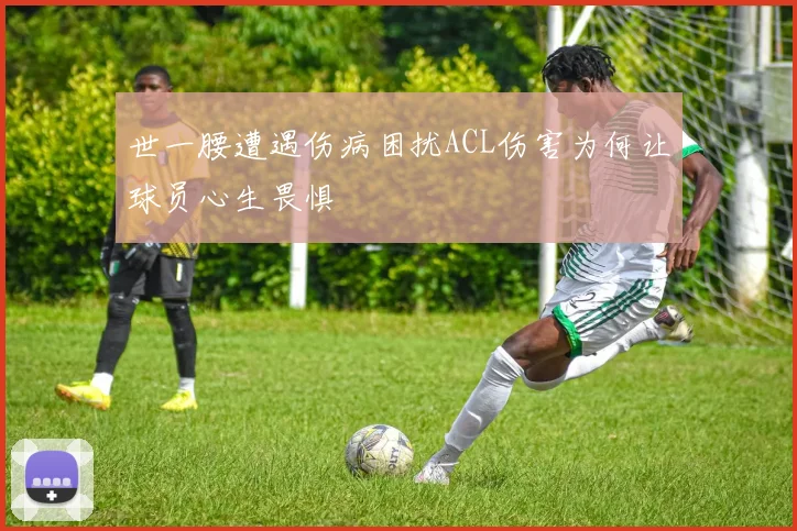 世一腰遭遇伤病困扰ACL伤害为何让球员心生畏惧