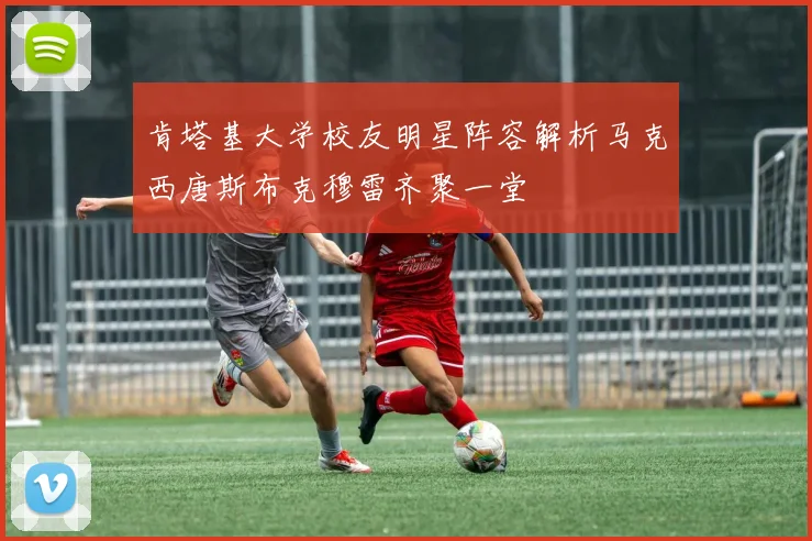 肯塔基大学校友明星阵容解析马克西唐斯布克穆雷齐聚一堂