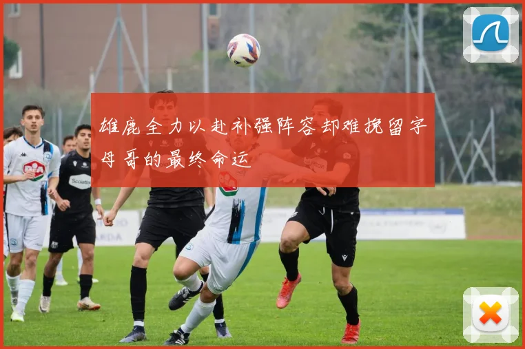 雄鹿全力以赴补强阵容却难挽留字母哥的最终命运