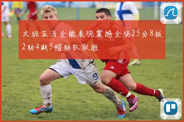 文班亚马全能表现震撼全场25分8板2助4断5帽助队取胜