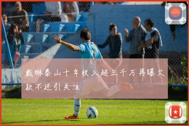 戴琳泰山十年收入超三千万再曝欠款不还引关注