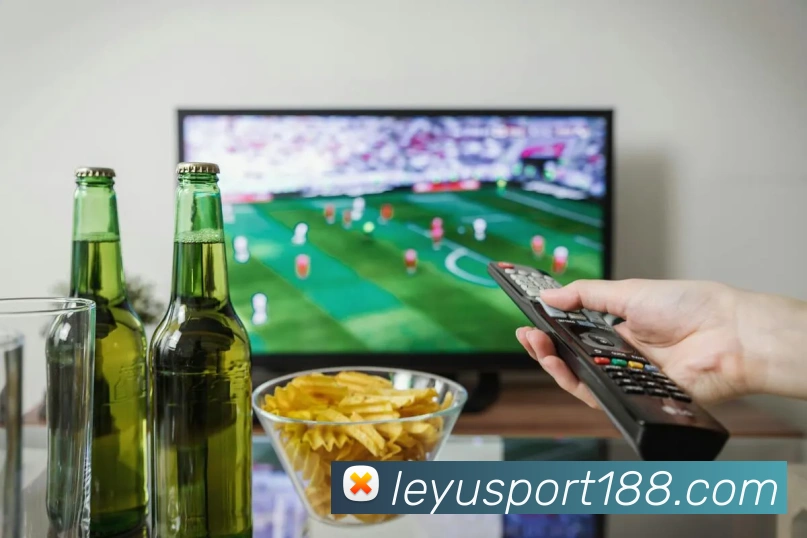 乐鱼体育APP 封面图